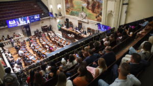 Comissão de Direitos Humanos debate falhas nas medidas protetivas e combate ao feminicídio